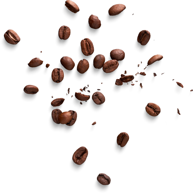 Isolated Cutout PNG