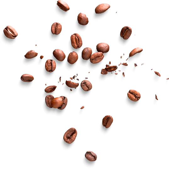 Isolated Cutout PNG